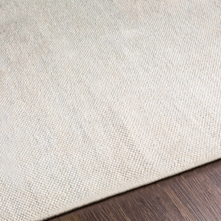 Tecoma Ivory Modern Style Hand Woven Area Rug