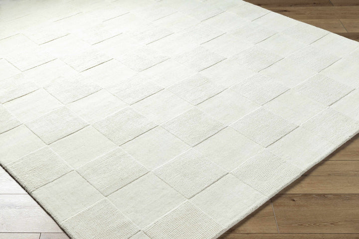 Tegan Contemporary Style Ivory Hand Loomed Wool Rug - The Rug Decor