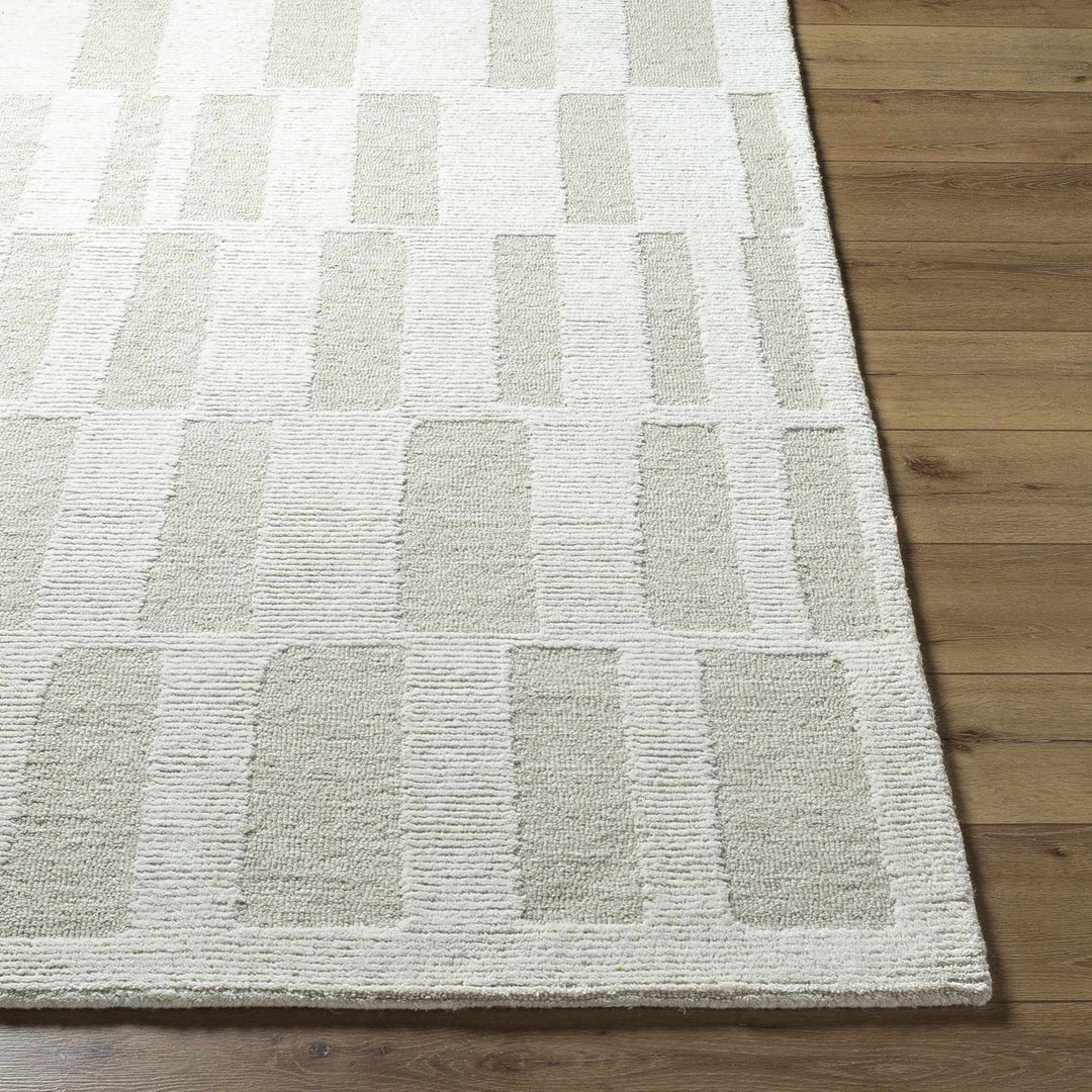 Teige Contemporary Geometrical Beige Area Rug - The Rug Decor