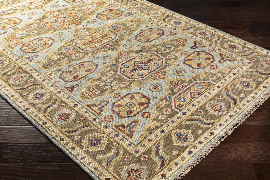 Temvik Brown And Blue Traditional Tribal Design Hand Knotted Area Rug