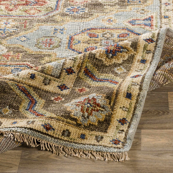 Temvik Brown And Blue Traditional Tribal Design Hand Knotted Area Rug