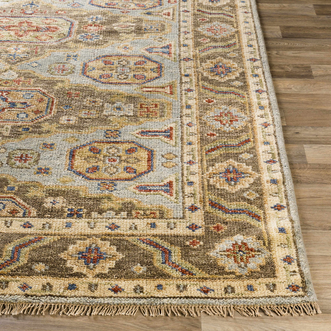 Temvik Brown And Blue Traditional Tribal Design Hand Knotted Area Rug