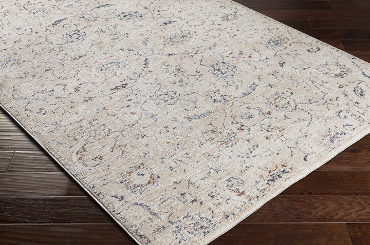 Ternate Beige And Blue Traditional Floral Design Area Rug