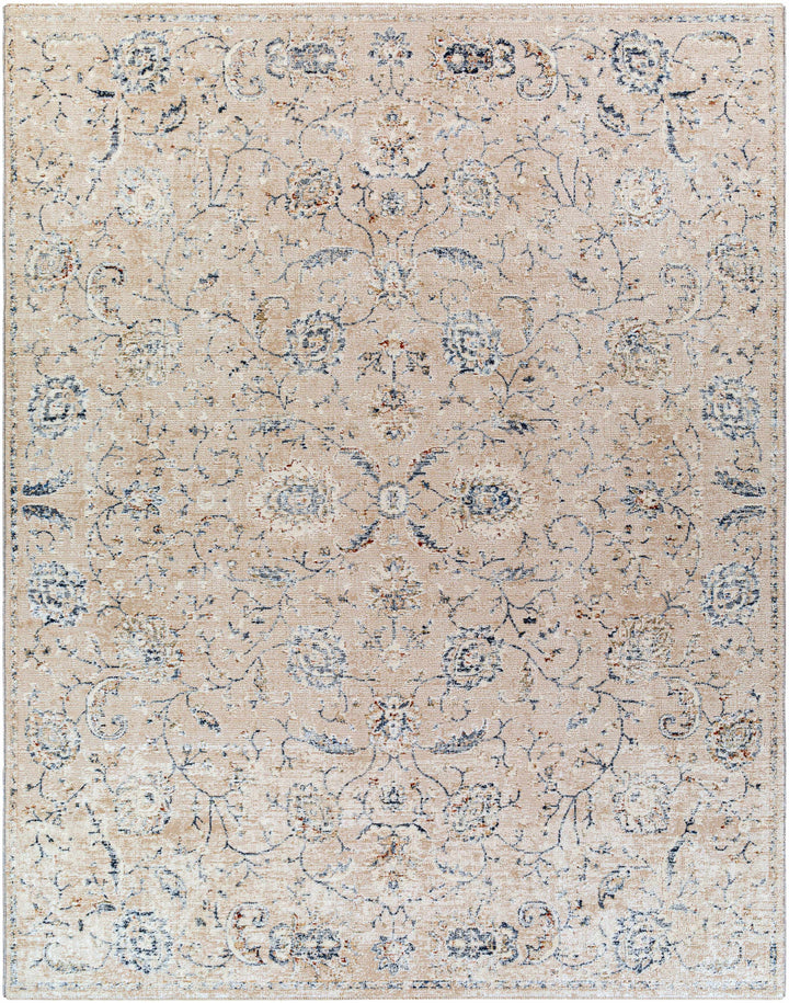 Ternate Beige And Blue Traditional Floral Design Area Rug