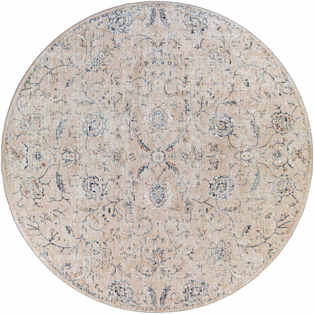 Ternate Beige And Blue Traditional Floral Design Area Rug