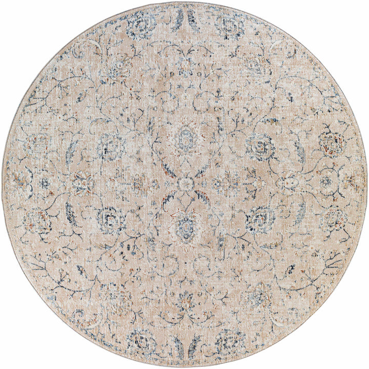 Ternate Beige And Blue Traditional Floral Design Area Rug