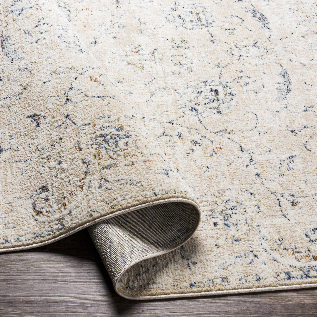 Ternate Beige And Blue Traditional Floral Design Area Rug