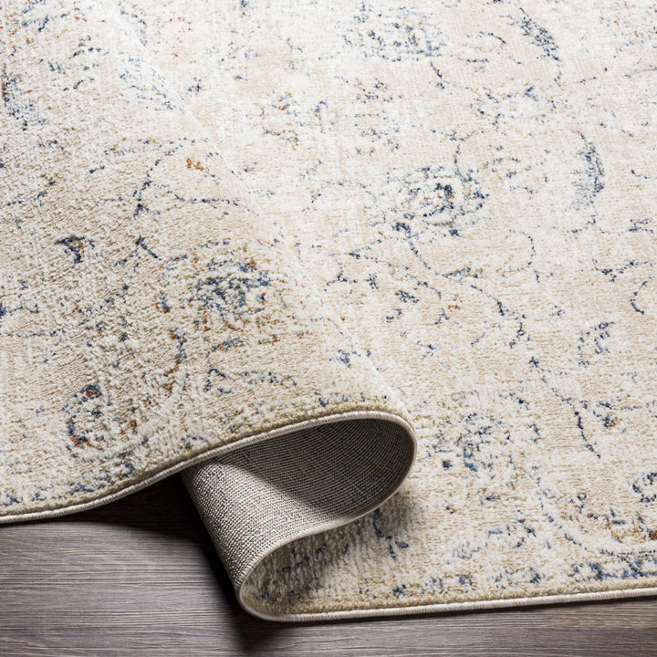 Ternate Beige And Blue Traditional Floral Design Area Rug