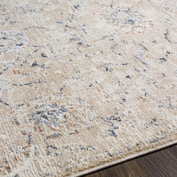 Ternate Beige And Blue Traditional Floral Design Area Rug