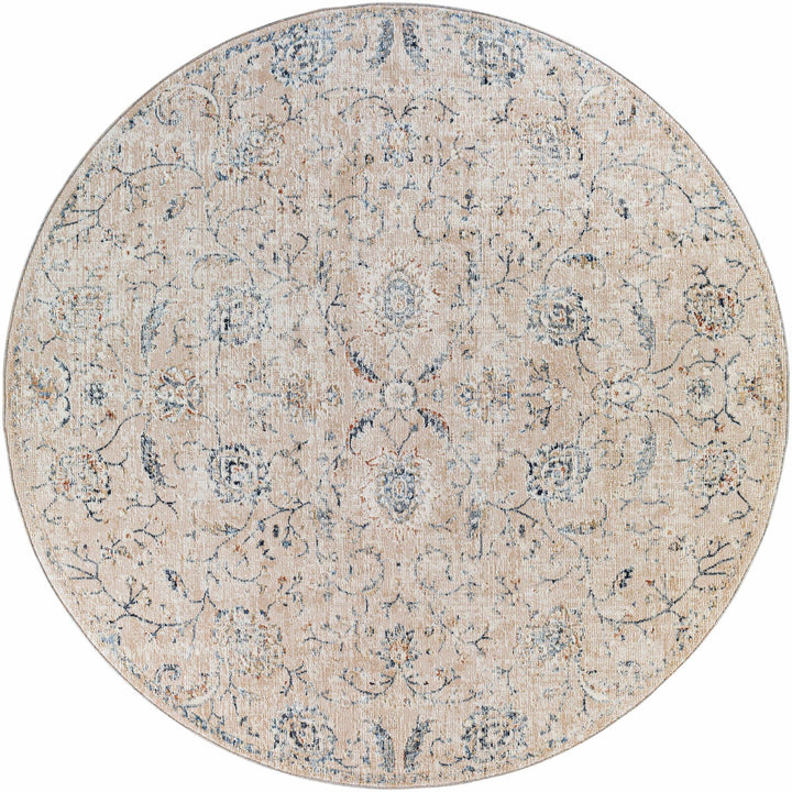 Ternate Beige And Blue Traditional Floral Design Area Rug - The Rug Decor
