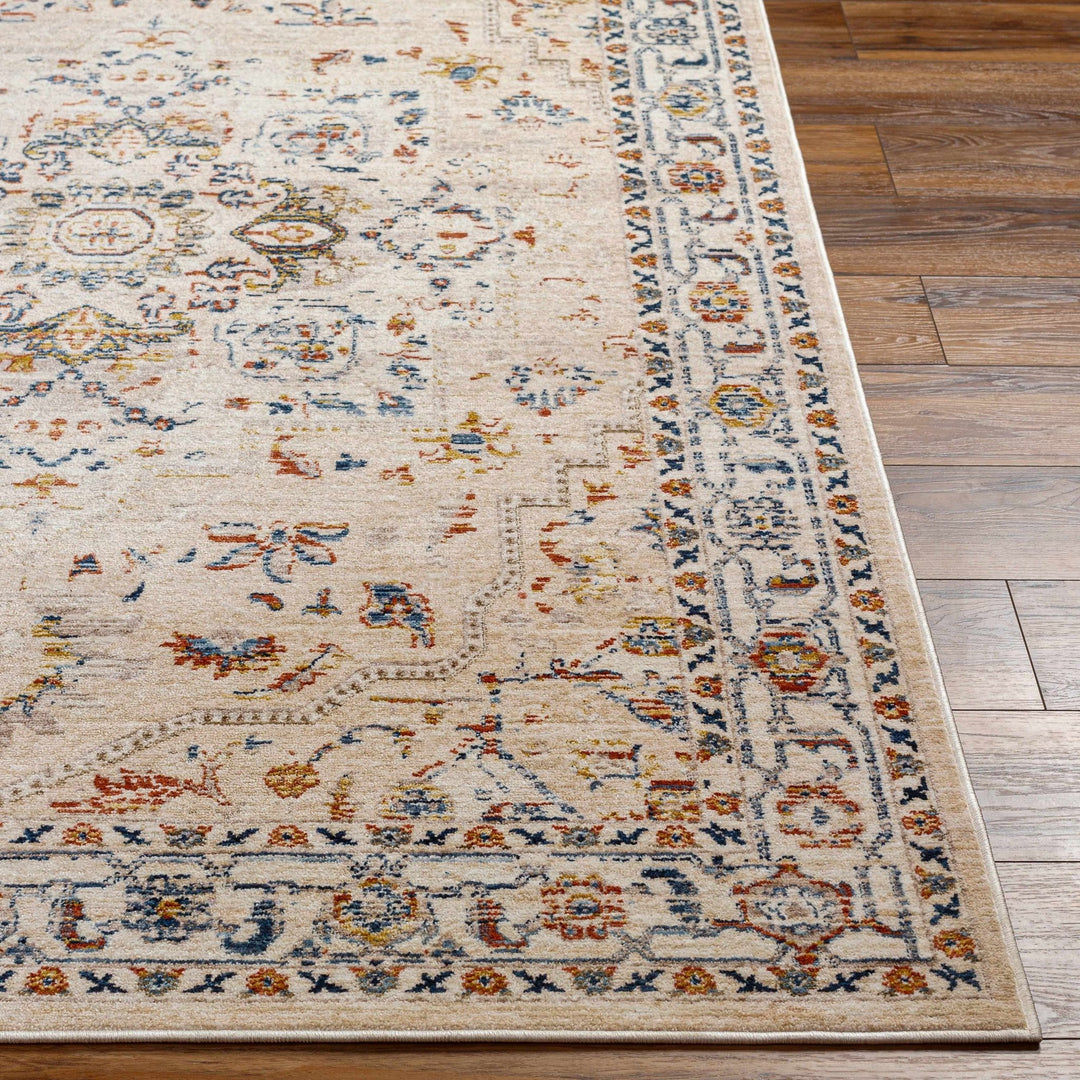 Teva Traditional Style Peach Beige Rug - The Rug Decor