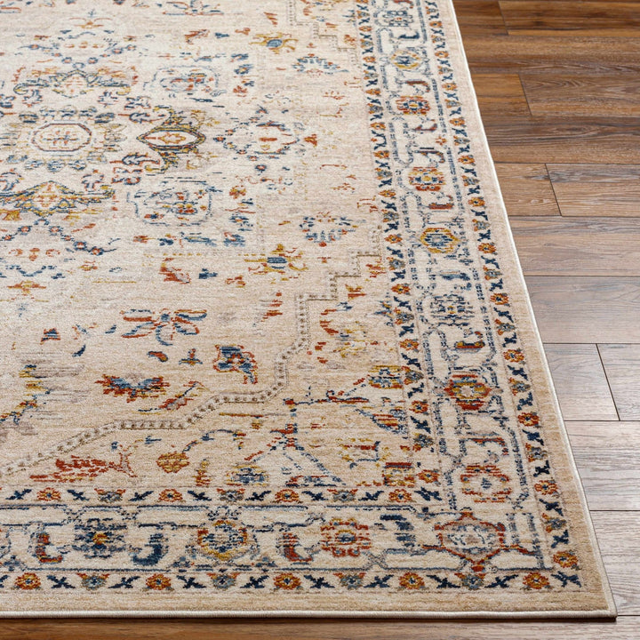 Teva Traditional Style Peach Beige Rug - The Rug Decor
