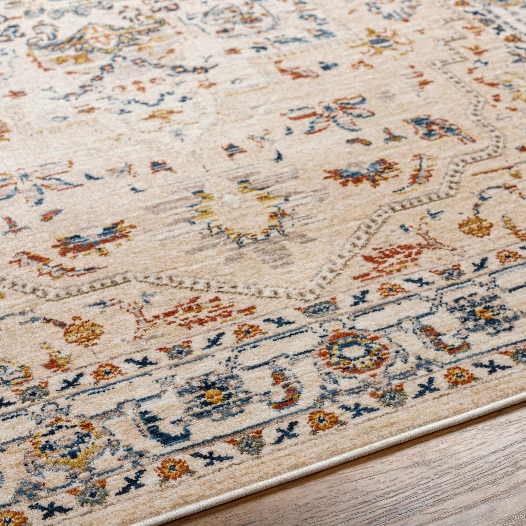 Teva Traditional Style Peach Beige Rug - The Rug Decor