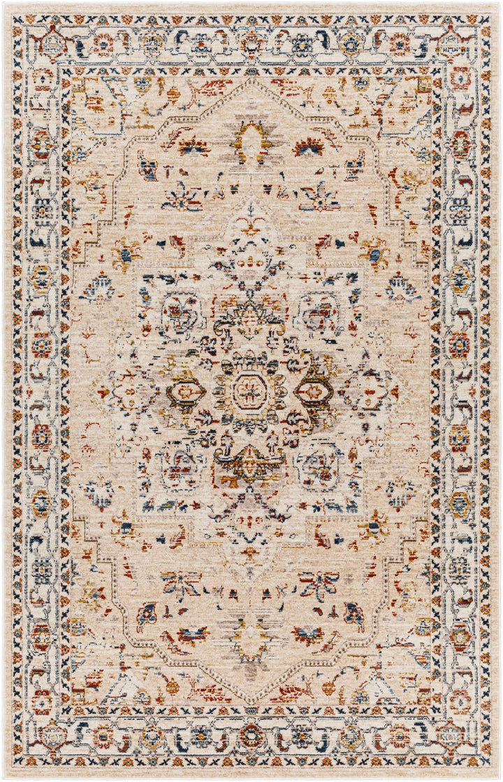 Teva Traditional Style Peach Beige Rug - The Rug Decor