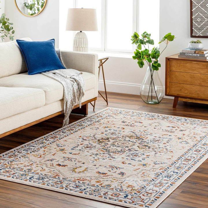 Teva Traditional Style Peach Beige Rug - The Rug Decor