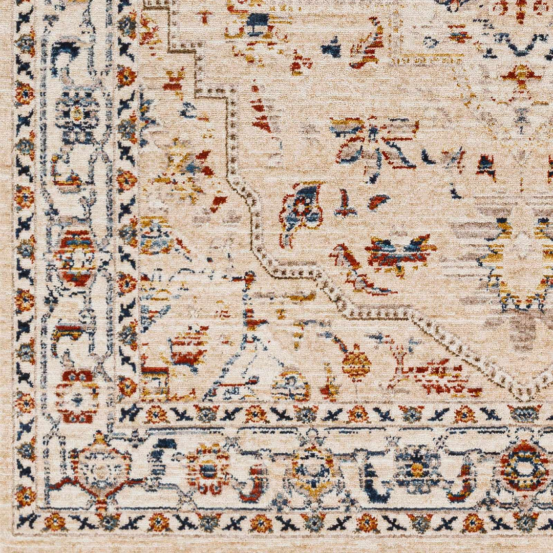 Teva Traditional Style Peach Beige Rug - The Rug Decor
