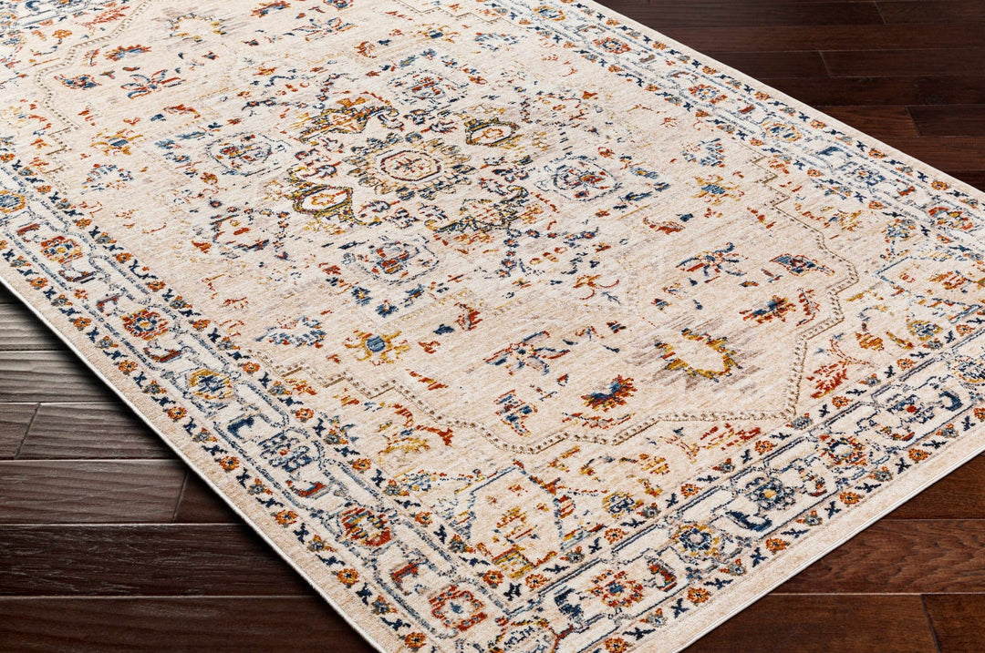 Teva Traditional Style Peach Beige Rug - The Rug Decor