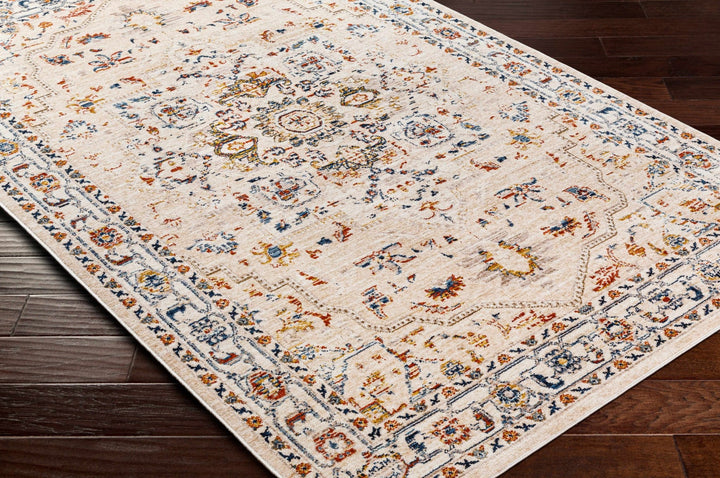 Teva Traditional Style Peach Beige Rug - The Rug Decor