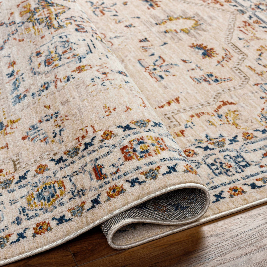Teva Traditional Style Peach Beige Rug - The Rug Decor
