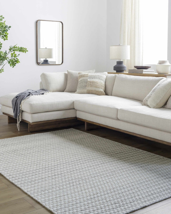 Tevah Contemporary Ivory And Gray Flatwoven Wool Rug - The Rug Decor