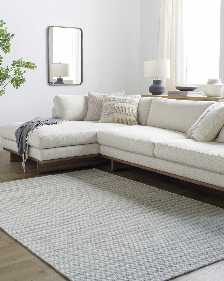 Tevah Contemporary Ivory And Gray Flatwoven Wool Rug - The Rug Decor