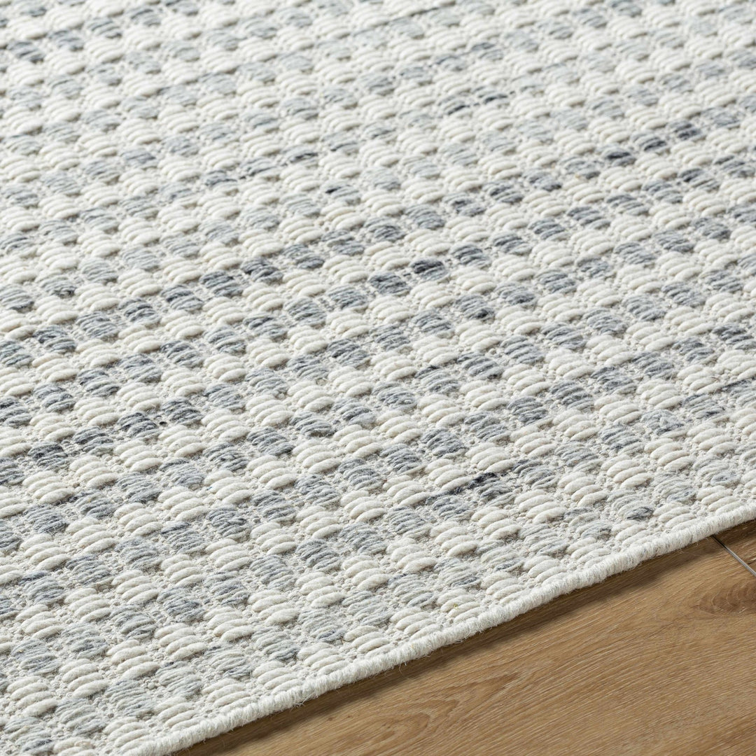 Tevah Contemporary White And Gray Area Rug - The Rug Decor