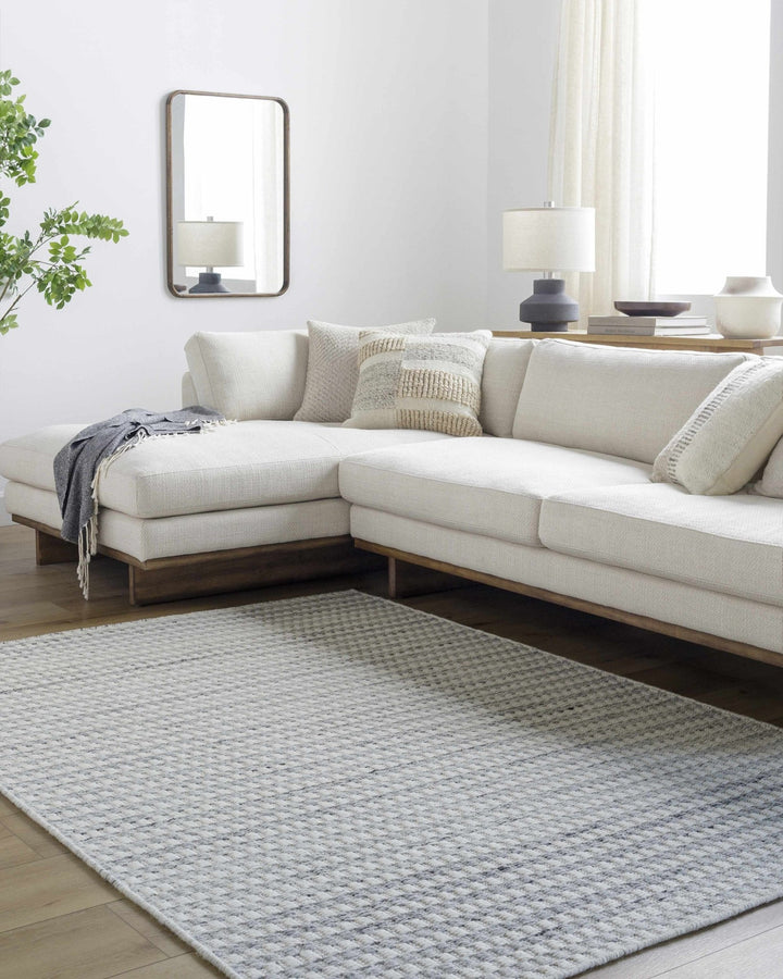 Tevah Contemporary White And Gray Area Rug - The Rug Decor