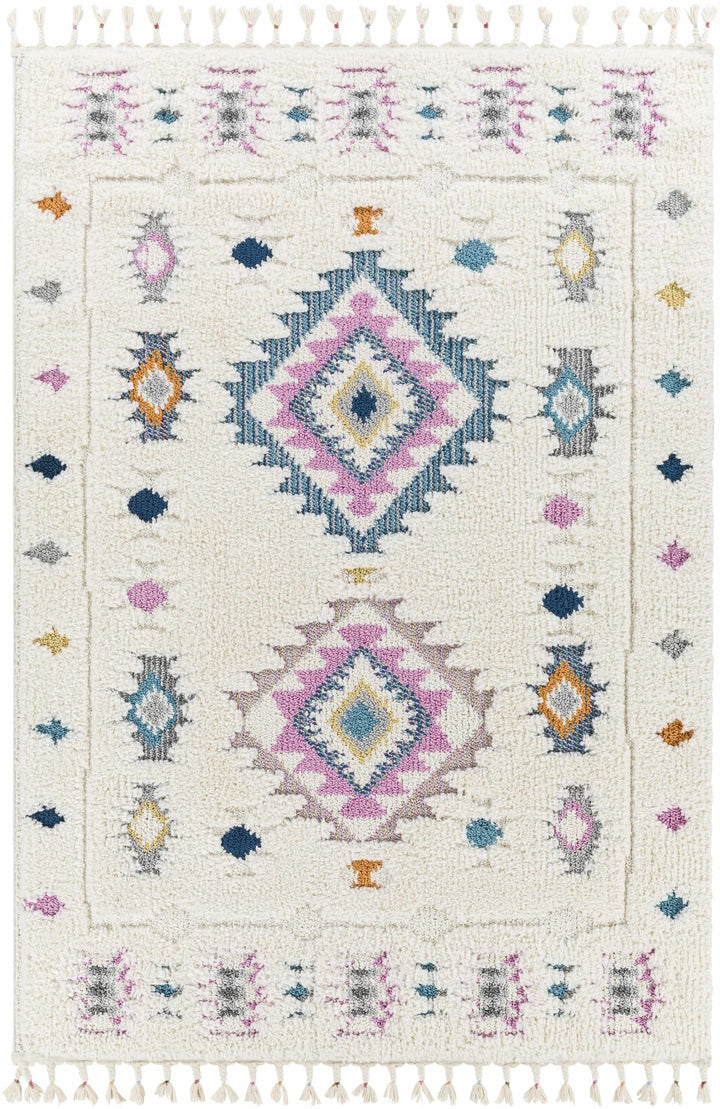 Textured Moroccan Style Ivory, Pink and Teal Traditional Design area rug - The Rug Decor