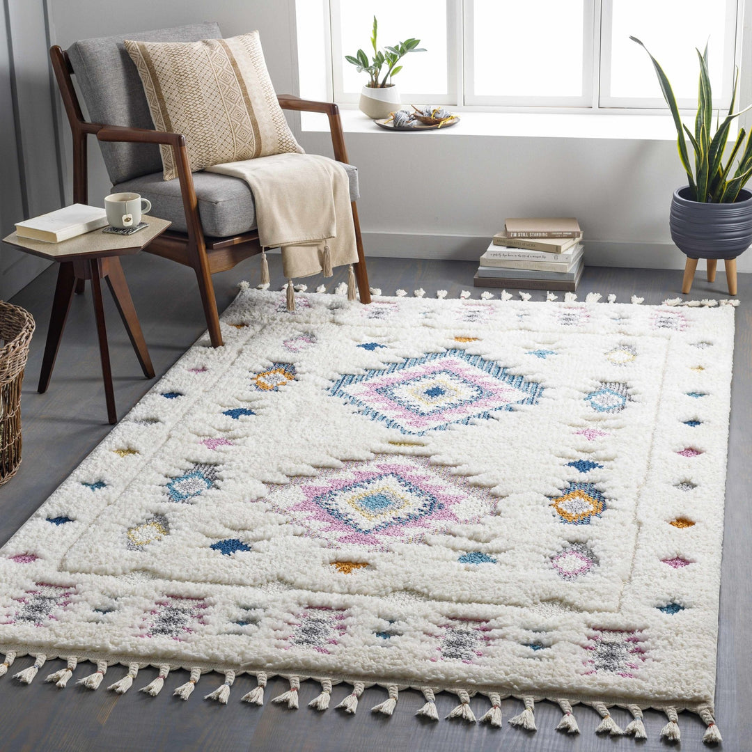 Textured Moroccan Style Ivory, Pink and Teal Traditional Design area rug - The Rug Decor