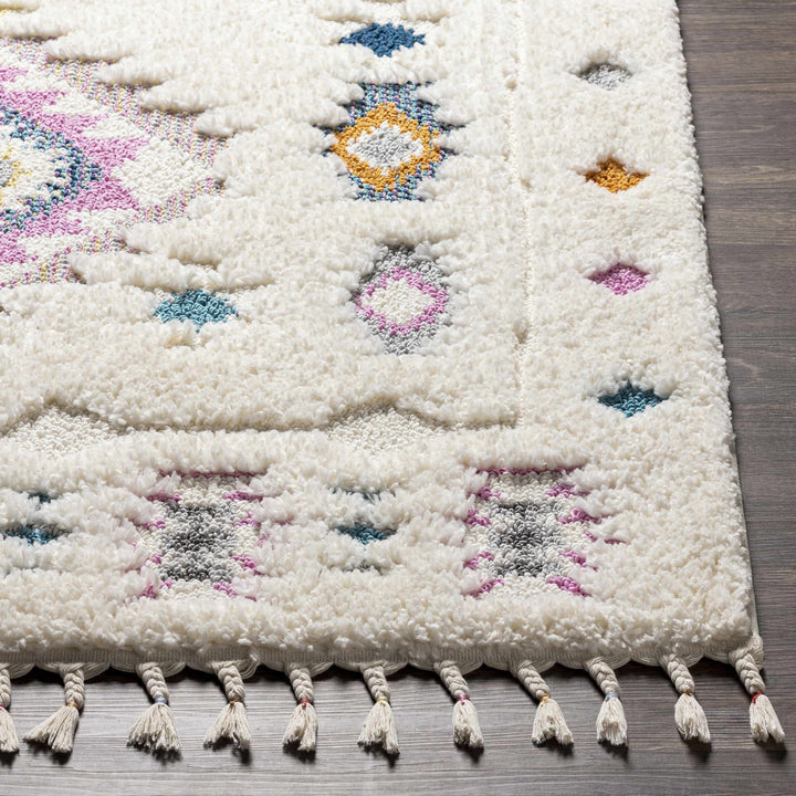 Textured Moroccan Style Ivory, Pink and Teal Traditional Design area rug - The Rug Decor