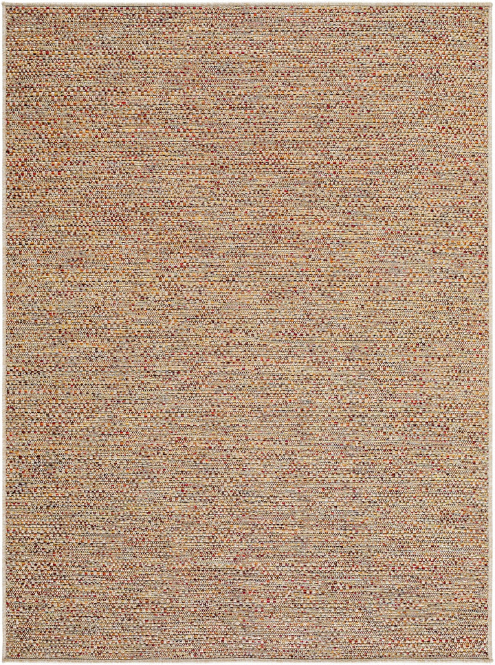 Thanh Beige Contemporary Style Outdoor Rug - The Rug Decor