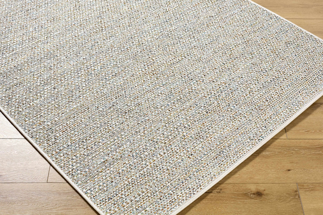 Thanh Contemporary Ivory And Gray Outdoor Area Rug - The Rug Decor