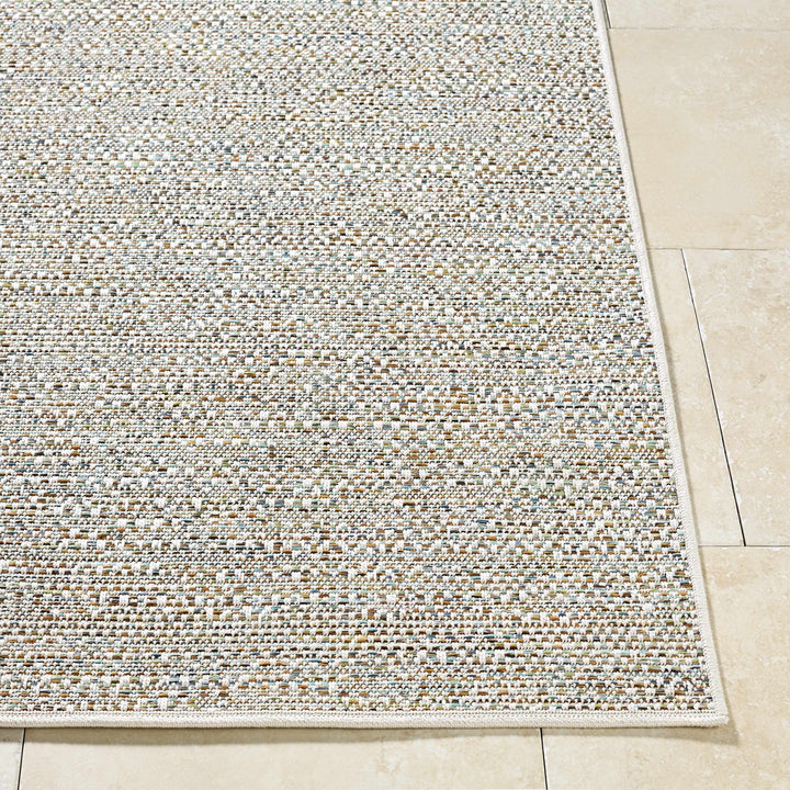 Thanh Contemporary Ivory And Gray Outdoor Area Rug - The Rug Decor