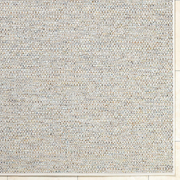 Thanh Contemporary Ivory And Gray Outdoor Area Rug - The Rug Decor