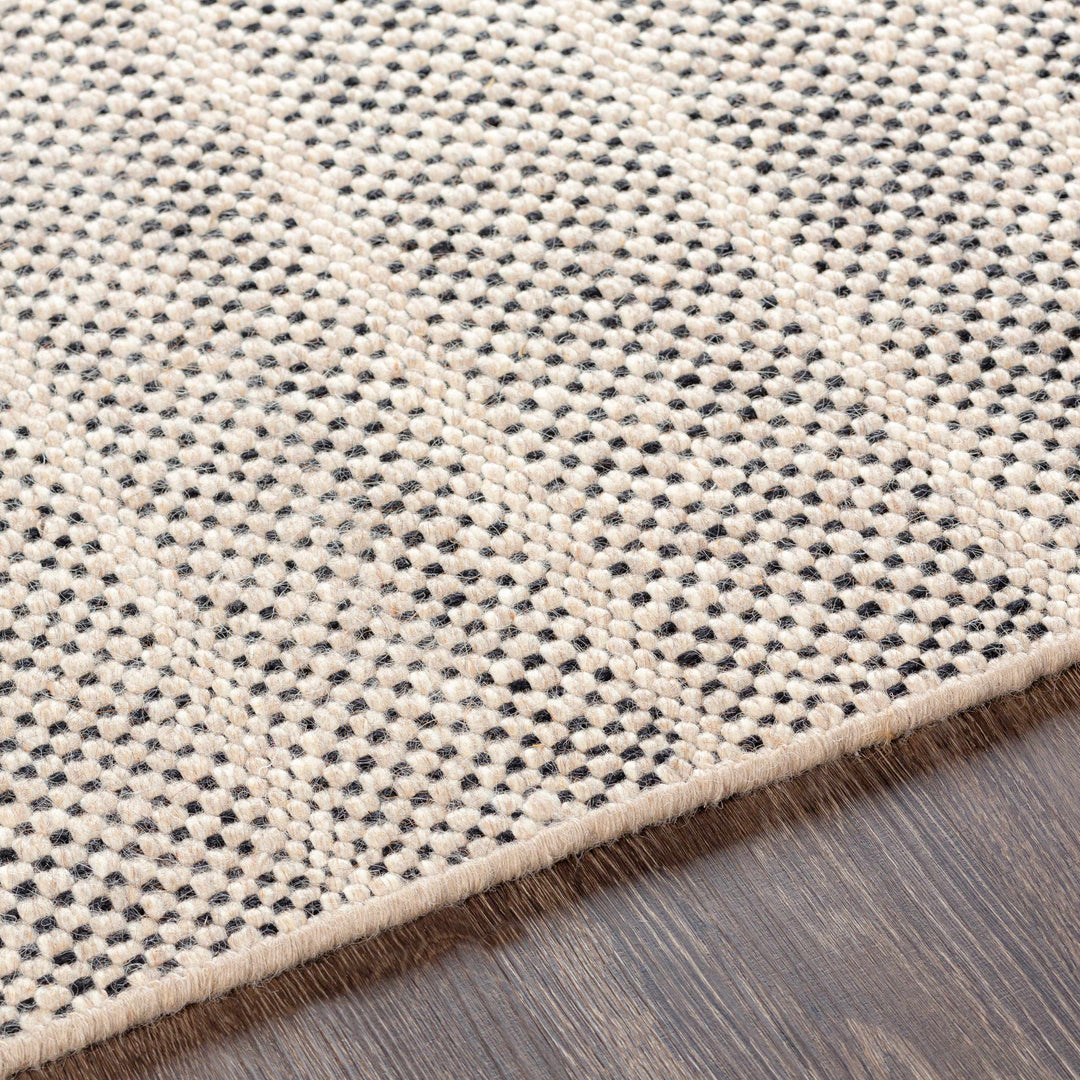 Thorold Ivory And Black Modern Style Hand Woven Area Rug