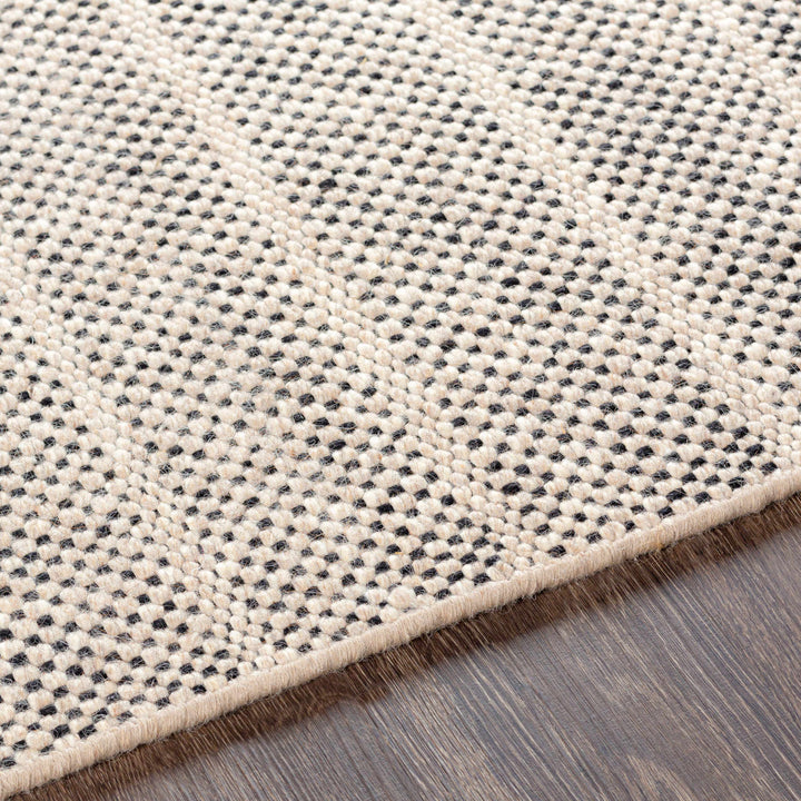Thorold Ivory And Black Modern Style Hand Woven Area Rug