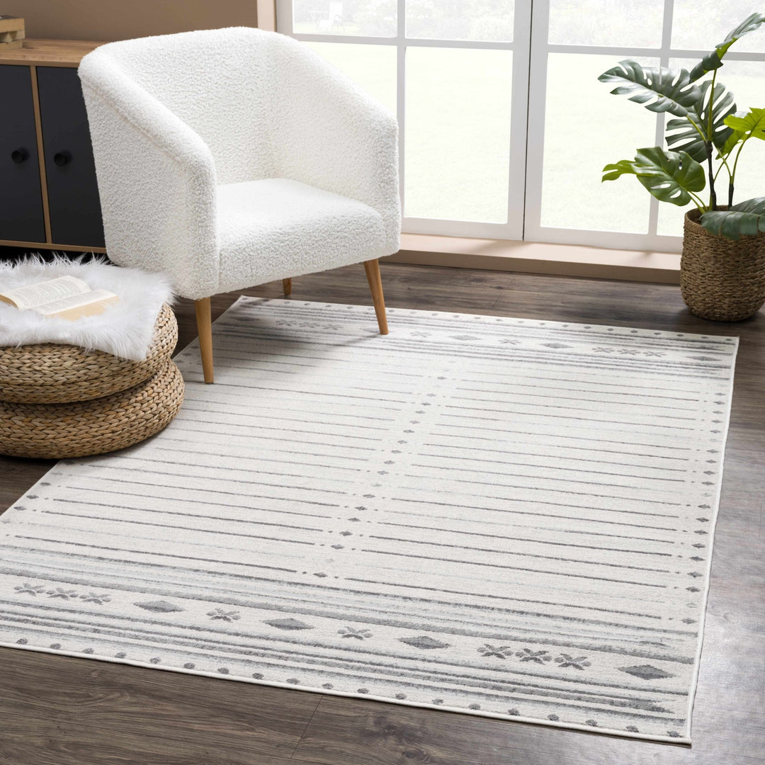 Tigri Contemporary Gray And Charcoal Area Rug - The Rug Decor
