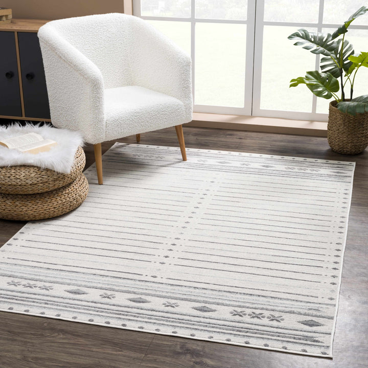 Tigri Contemporary Gray And Charcoal Area Rug - The Rug Decor
