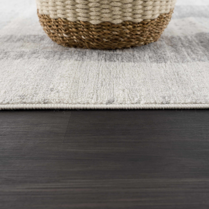 Tigria Contemporary Gray And Ivory Area Rug - The Rug Decor