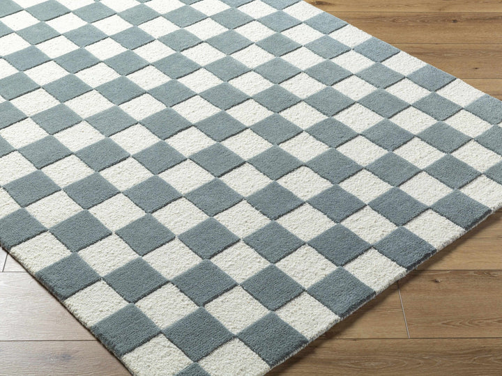 Timin Modern Greenish Gray And Ivory Checkered Rug - The Rug Decor