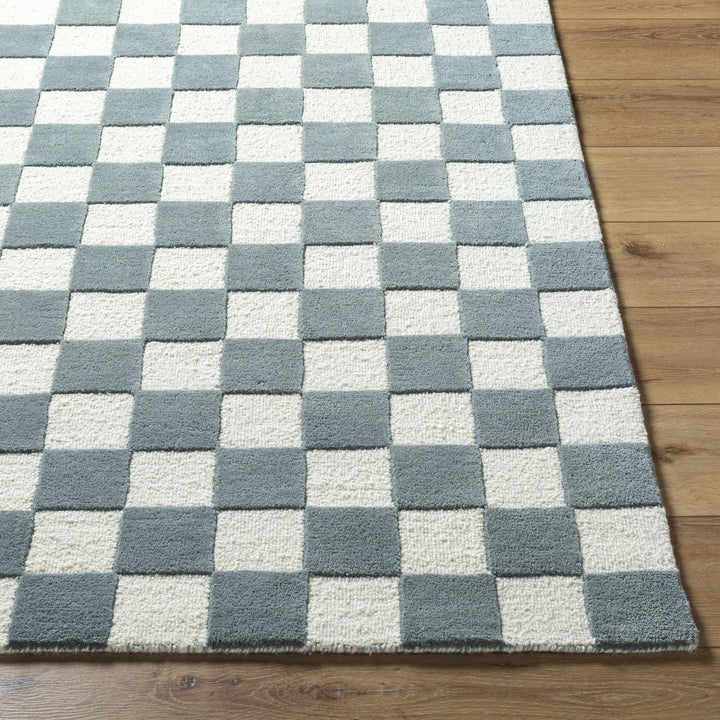 Timin Modern Greenish Gray And Ivory Checkered Rug - The Rug Decor