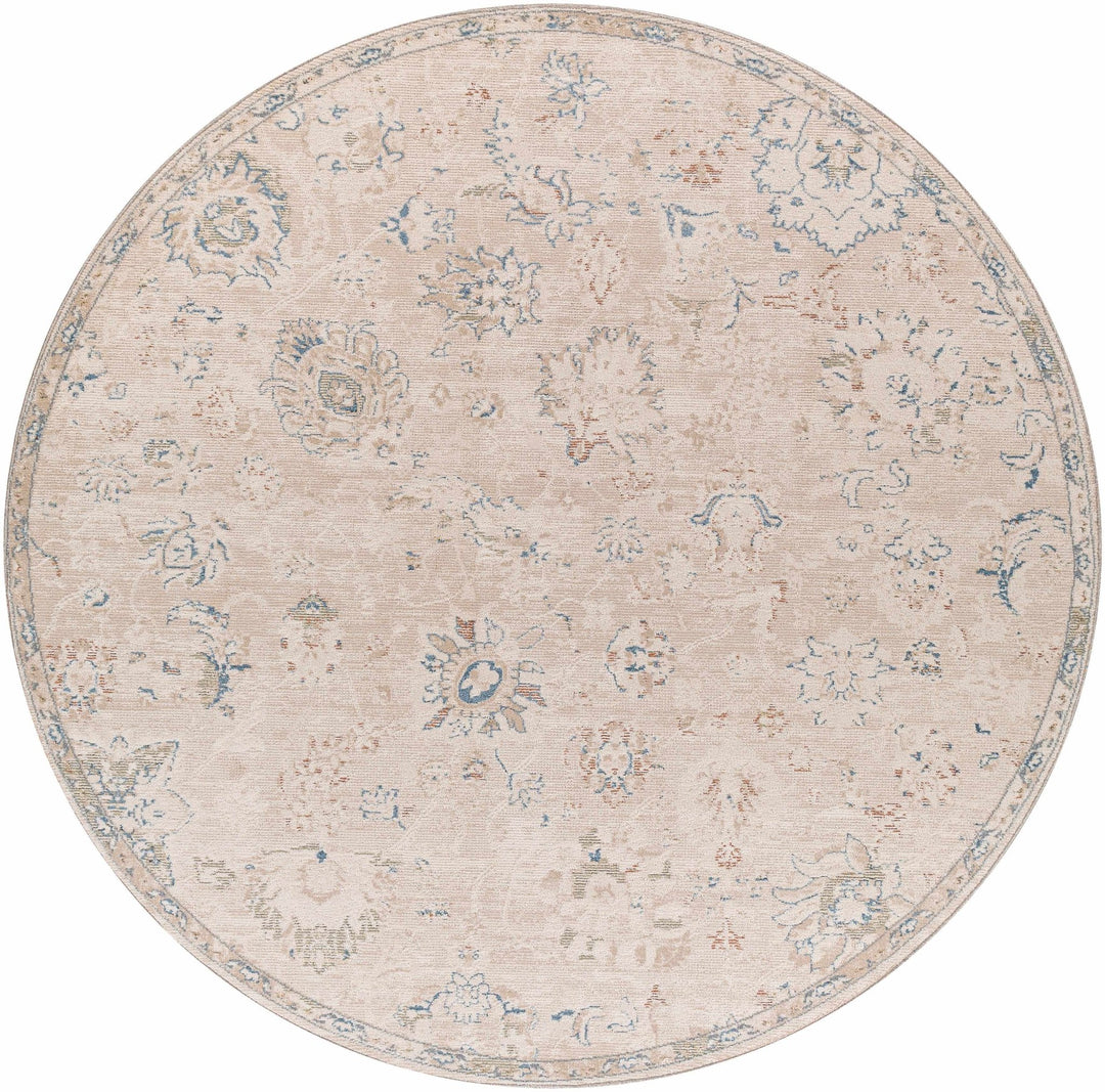 Tinampo Traditional Oushak Beige Rug - The Rug Decor