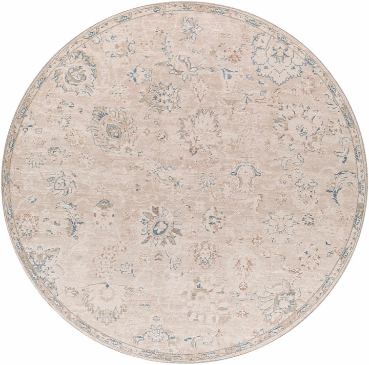 Tinampo Traditional Oushak Beige Rug - The Rug Decor