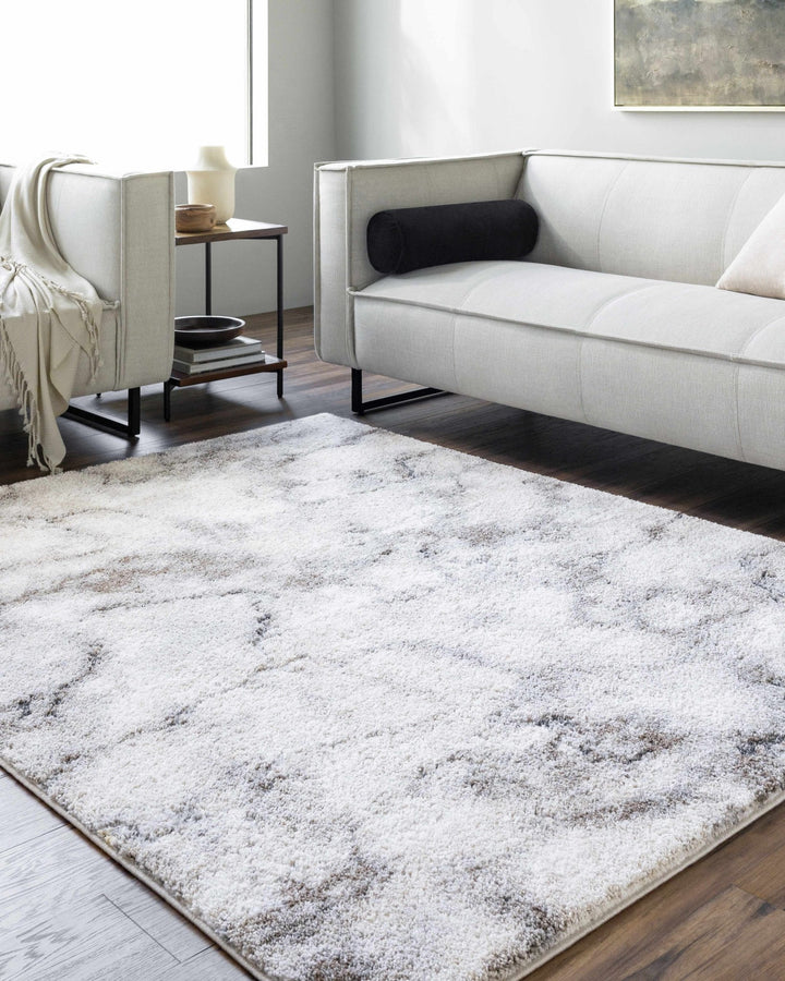 Titan Modern Style Silver And Gray Area Rug - The Rug Decor