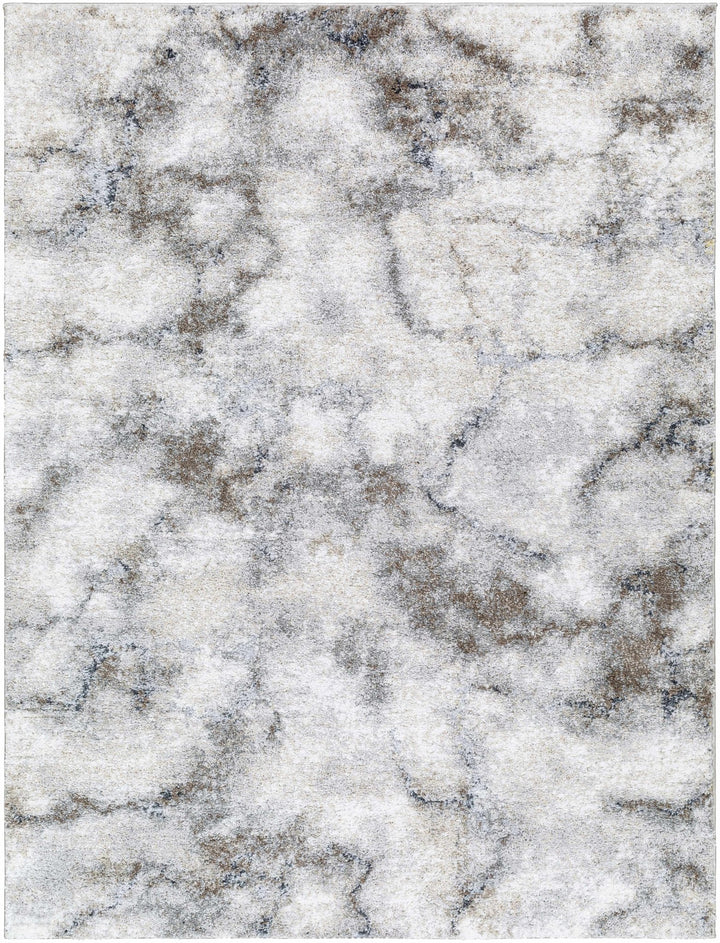 Titan Modern Style Silver And Gray Area Rug - The Rug Decor
