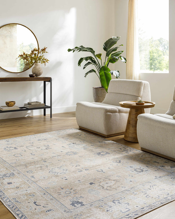 Toddy Traditional Style Beige And Blue Area Rug