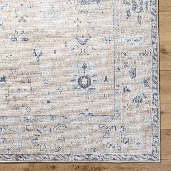 Toddy Traditional Style Beige And Blue Area Rug