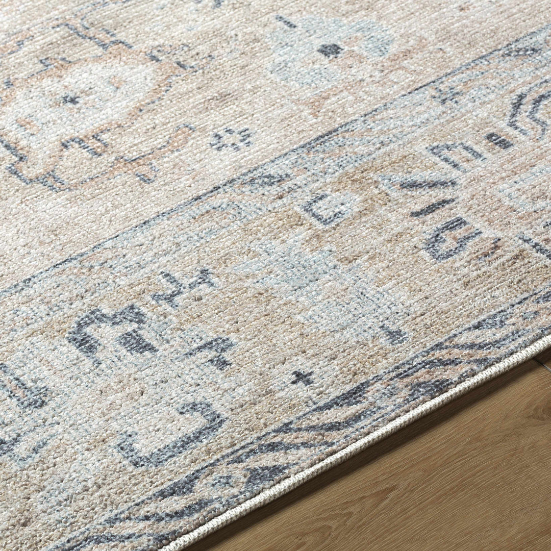 Toddy Traditional Style Beige And Blue Area Rug