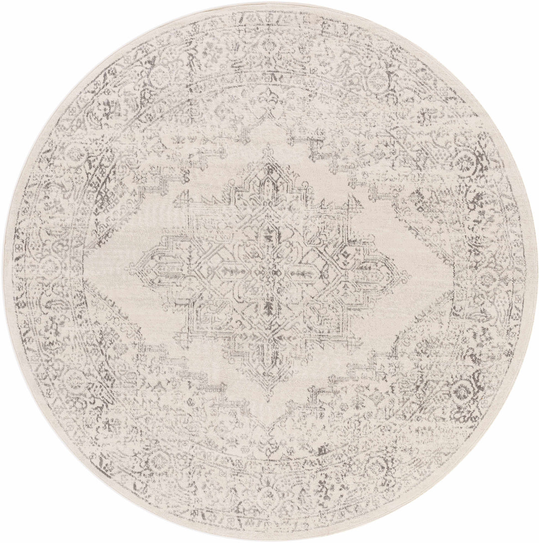Tamarama Traditional Style Ivory And Gray Area Rug