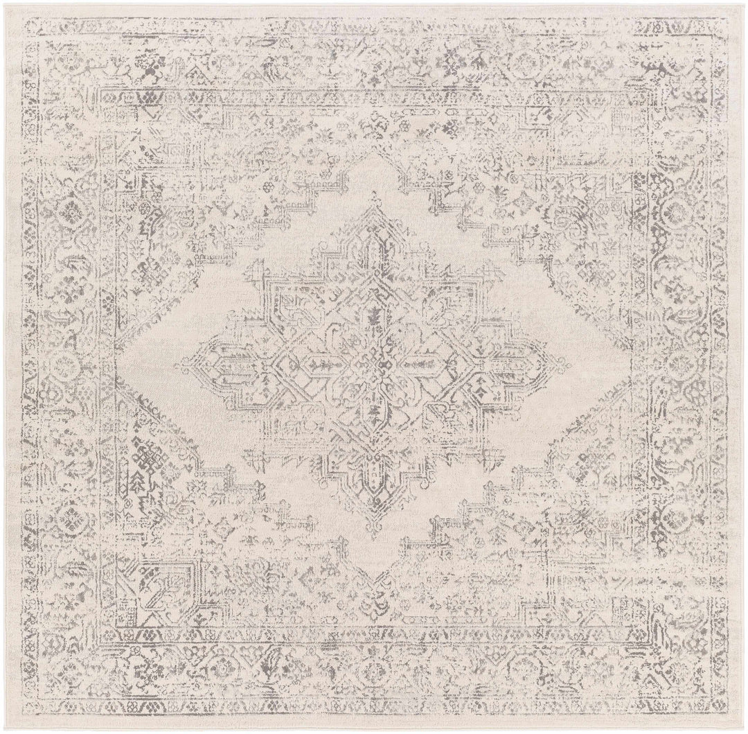 Tamarama Traditional Style Ivory And Gray Area Rug